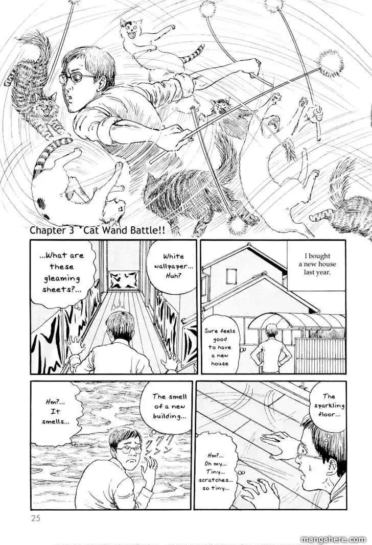 Ito Junji's Cat Diary Chapter 3 1